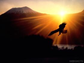 41910_wallpaper280.jpg