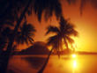 58514_wallpaper110.jpg